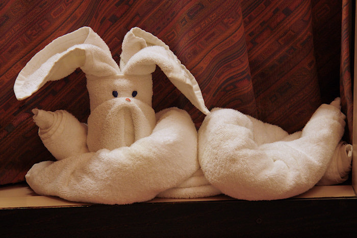 towel animal in our cabin on the Carnival Elation