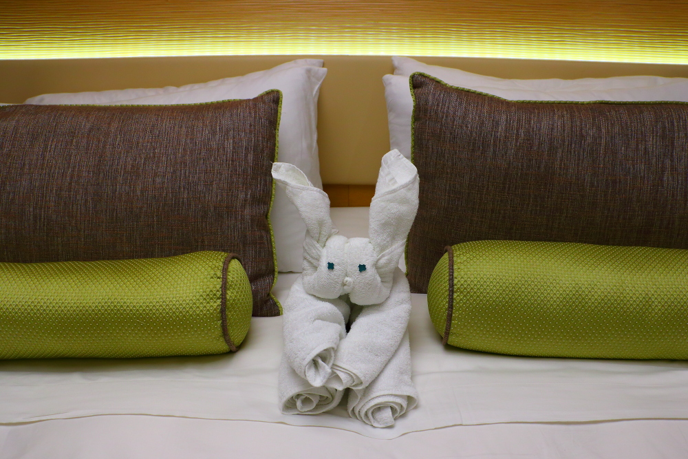 Norwegian Cruise Line towel animal