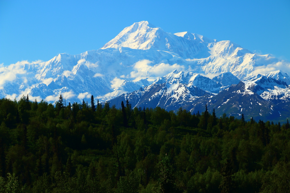 Denali Mt McKinley