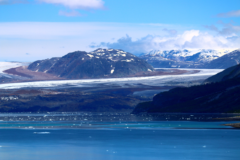 A huge glacier in Glacier Bay national park