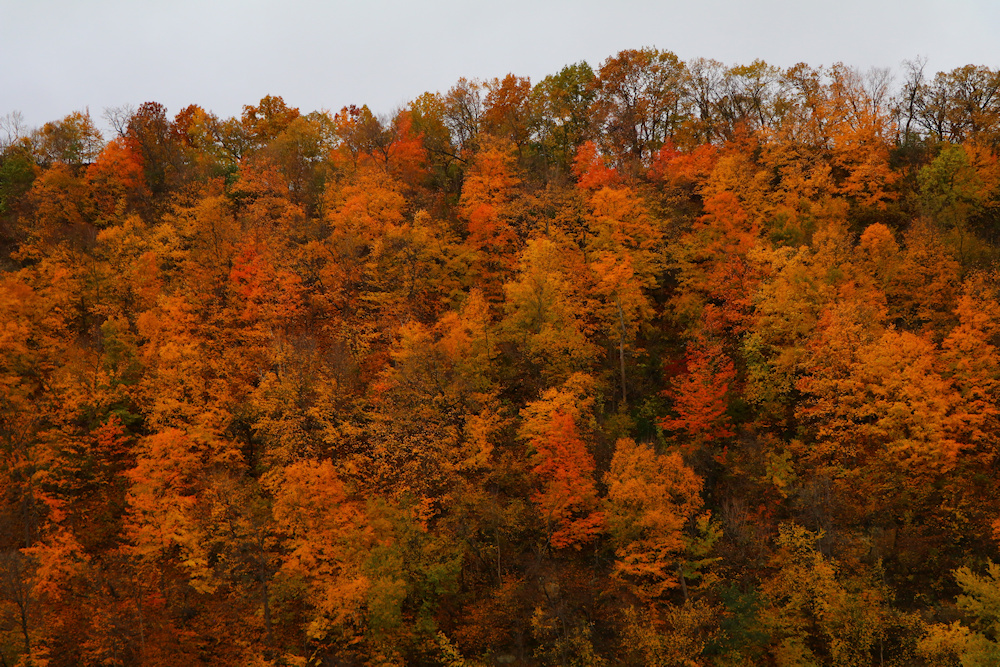 Fall colors in Minnesota