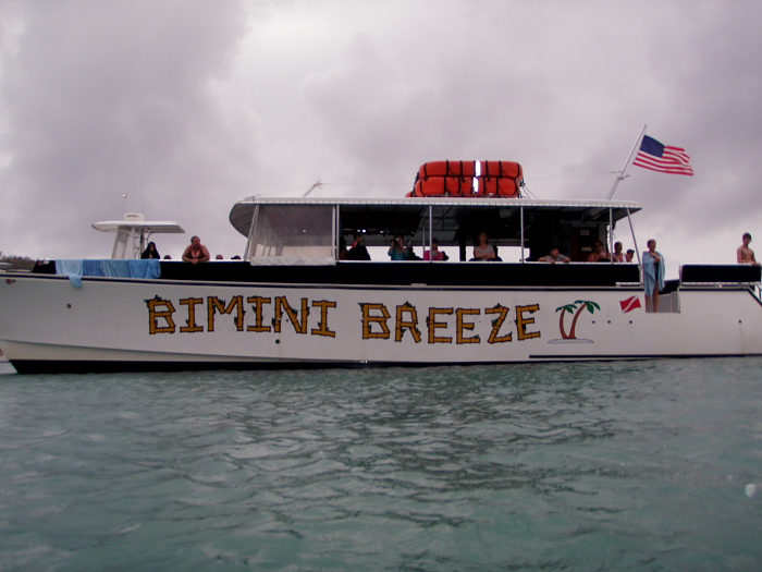 Bimini Breeze