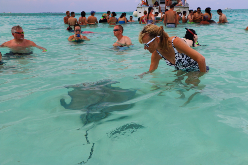 stingray city