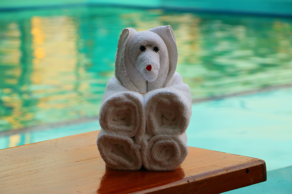 Carnival cruise towel animal