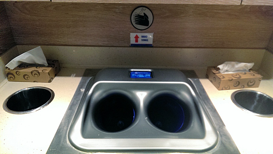 Carnival cruise hand washing station