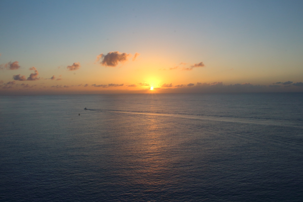 Carnival cruise sunrise