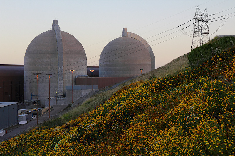 Wildflowers at Diablo Canyon power plant - May 2010