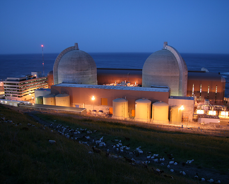 Goats graze at dawn behind the Diablo Canyon power plant