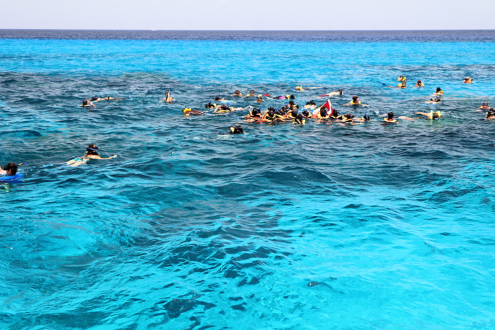 Cozumel snorkeling Palancar