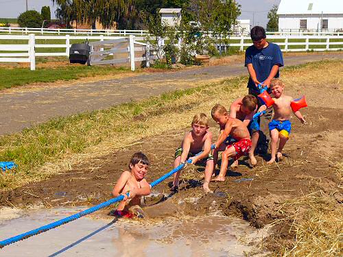 mud tug-of-war