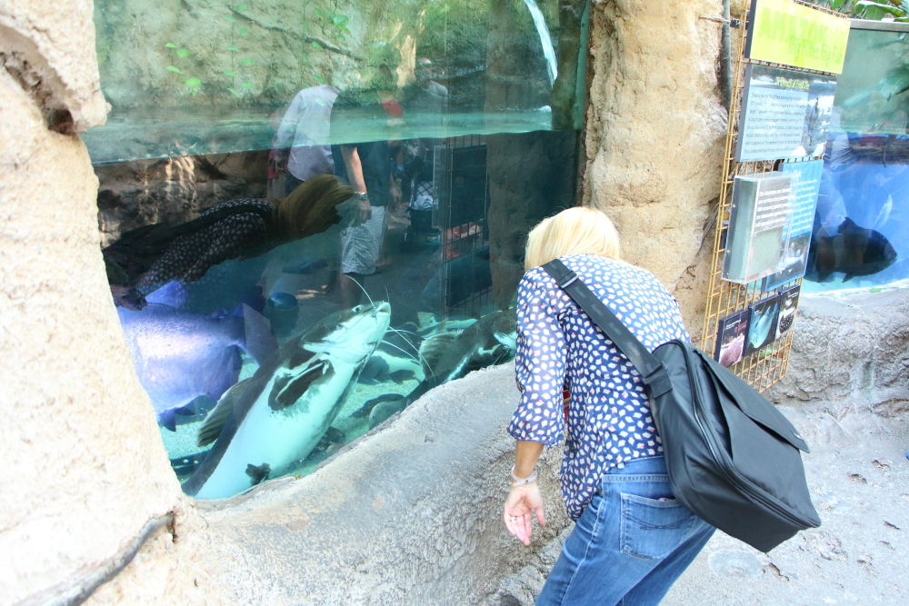 Aquarium of the Americas - New Orleans