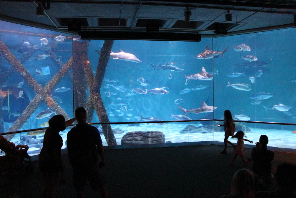 New Orleans aquarium