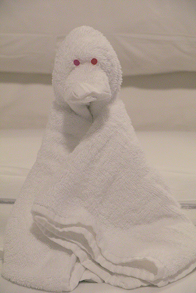 cruise ship towel animal