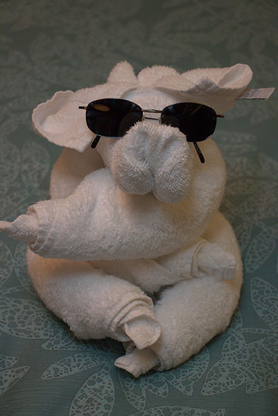 Norwegian cruise towel animal