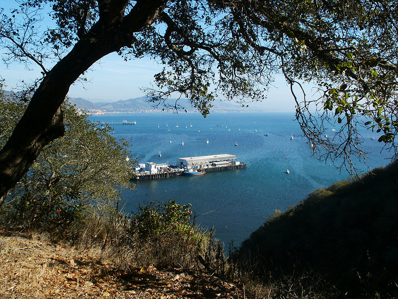 Harford pier as seen from the Pecho Coast trail