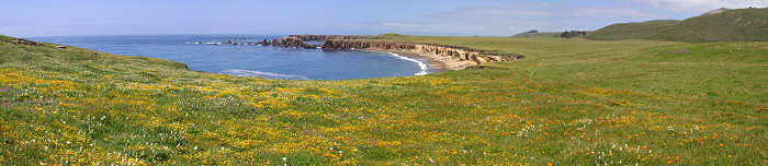 A panoramic photo shot on PG&E property north of Diablo Canyon