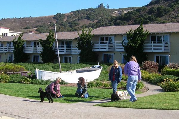 Spyglass Inn Shell Beach