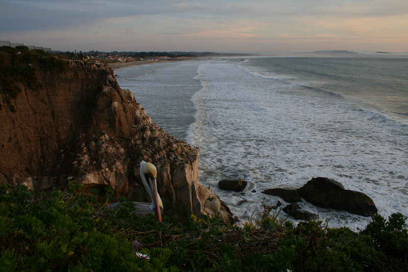 Pismo Beach, California