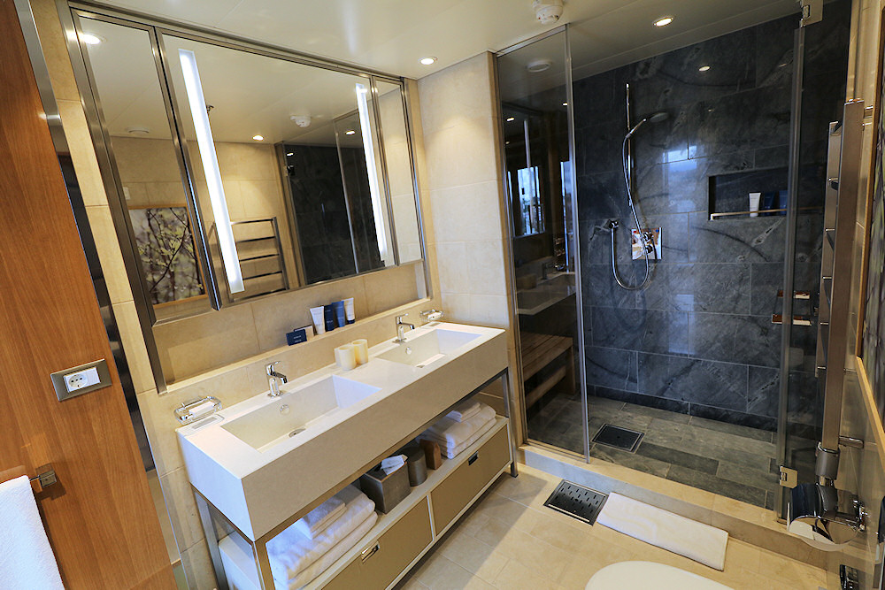 Viking Star owners suite bathroom